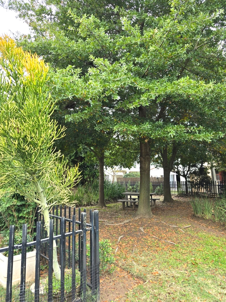 To Let 3 Bedroom Property for Rent in Paarl South Western Cape